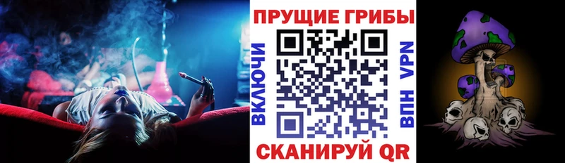 гидра Пролетарск Псилоцибиновые грибы GOLDEN TEACHER